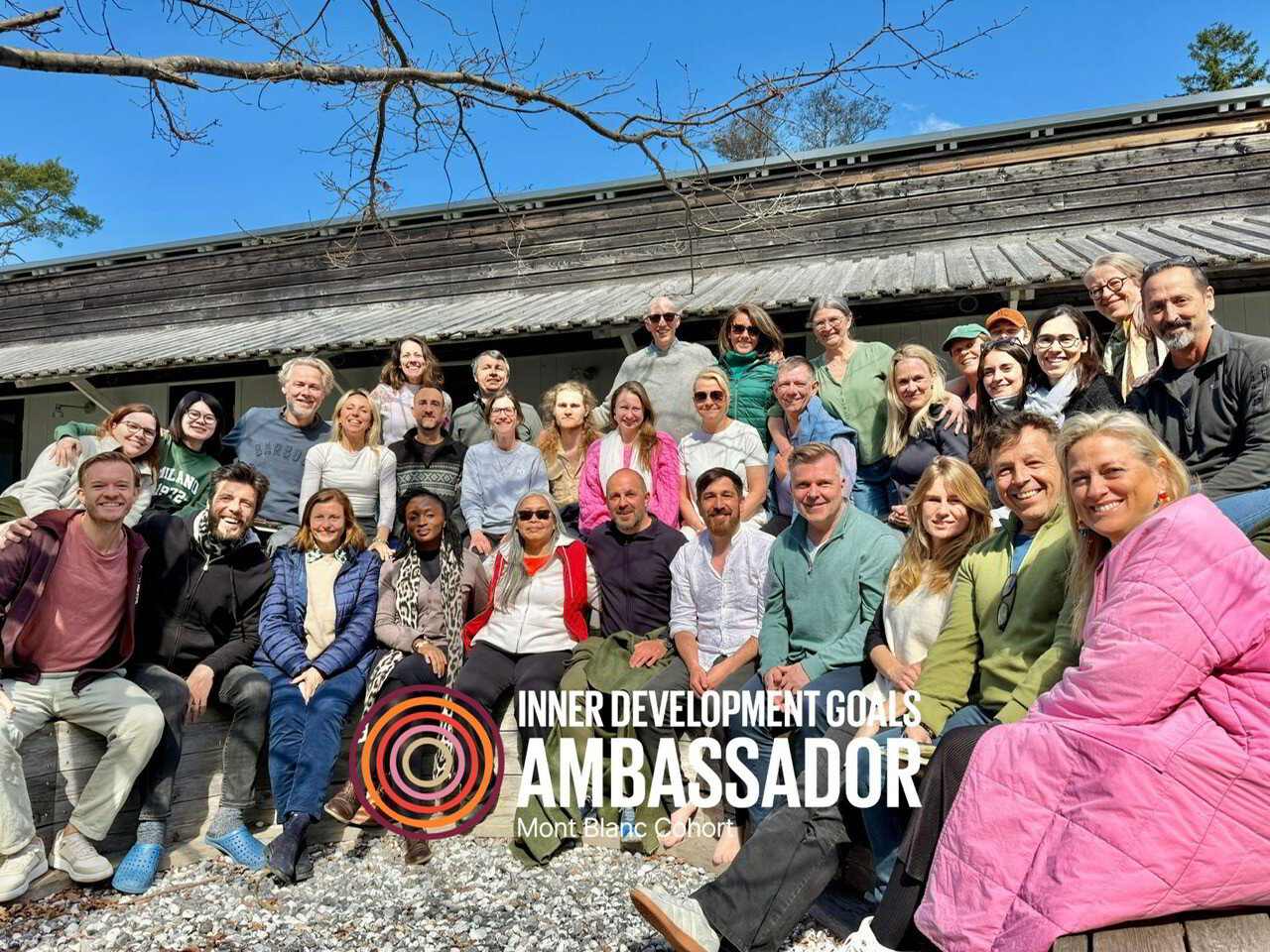 IDG Ambassador to combine the Sustainable Development Goals with the Inner Development Goals